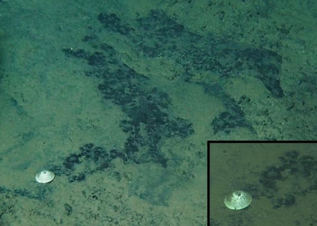 7fbd94f503d51946131b1489514e1c18